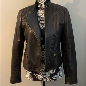 Ann Taylor Moto Jacket